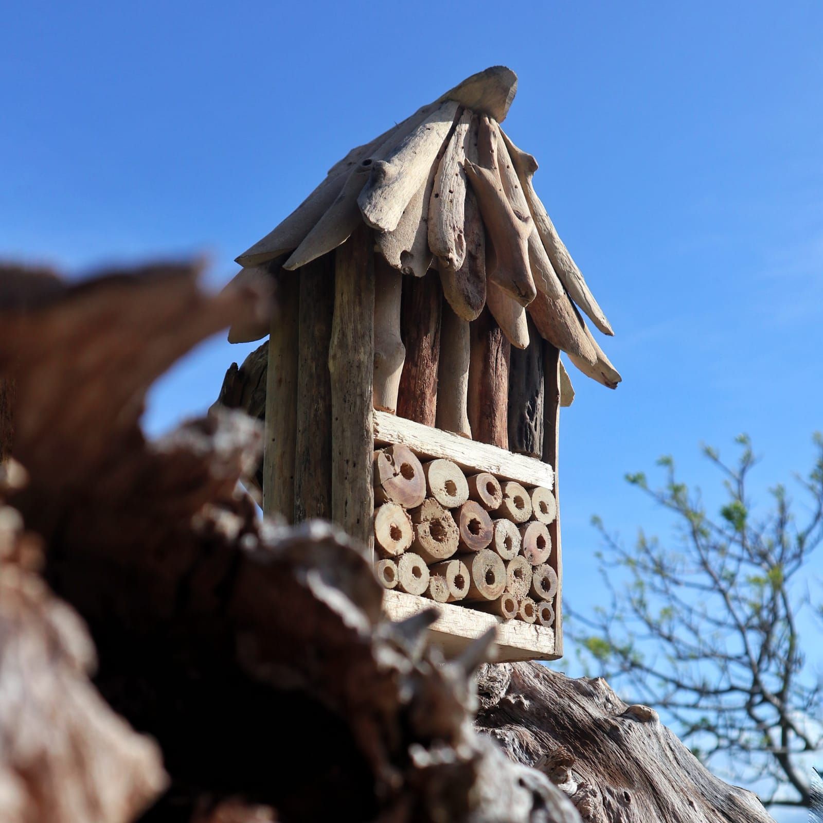 Driftwood Bee & Insect Double Box