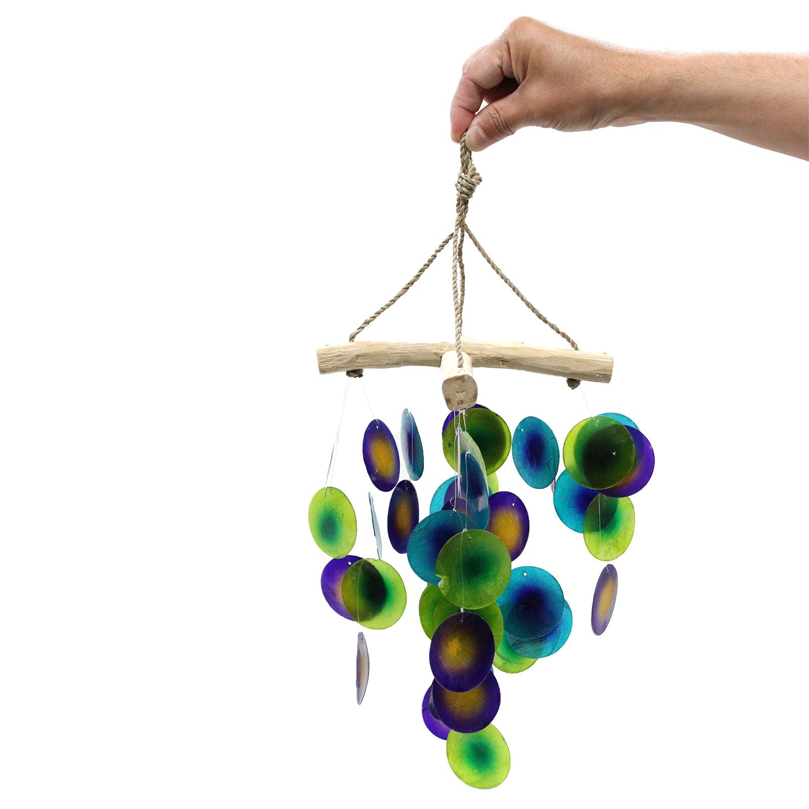 Green & Purple Driftwood Chime